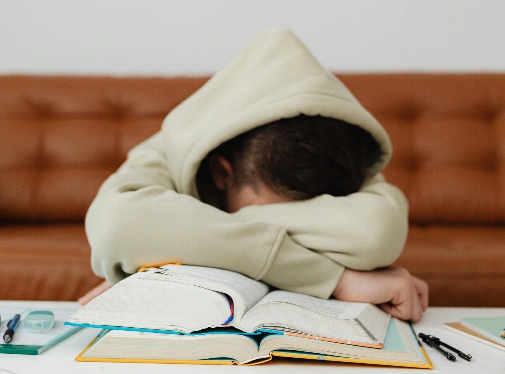 Leuphana Admission with low grades? How to apply successfully