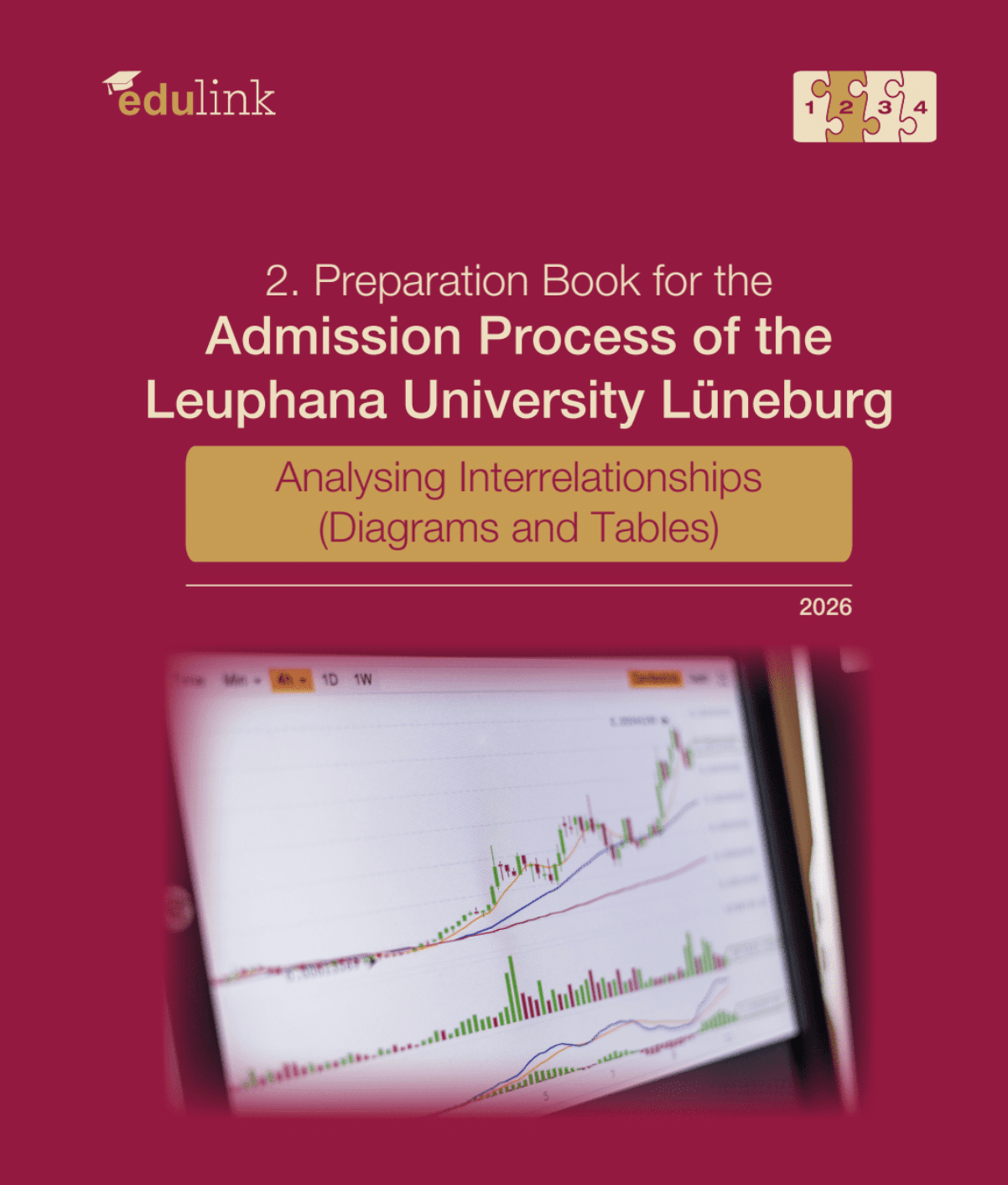 Leuphana University Lüneburg: Analysing Interrelationships (Diagrams and Tables)